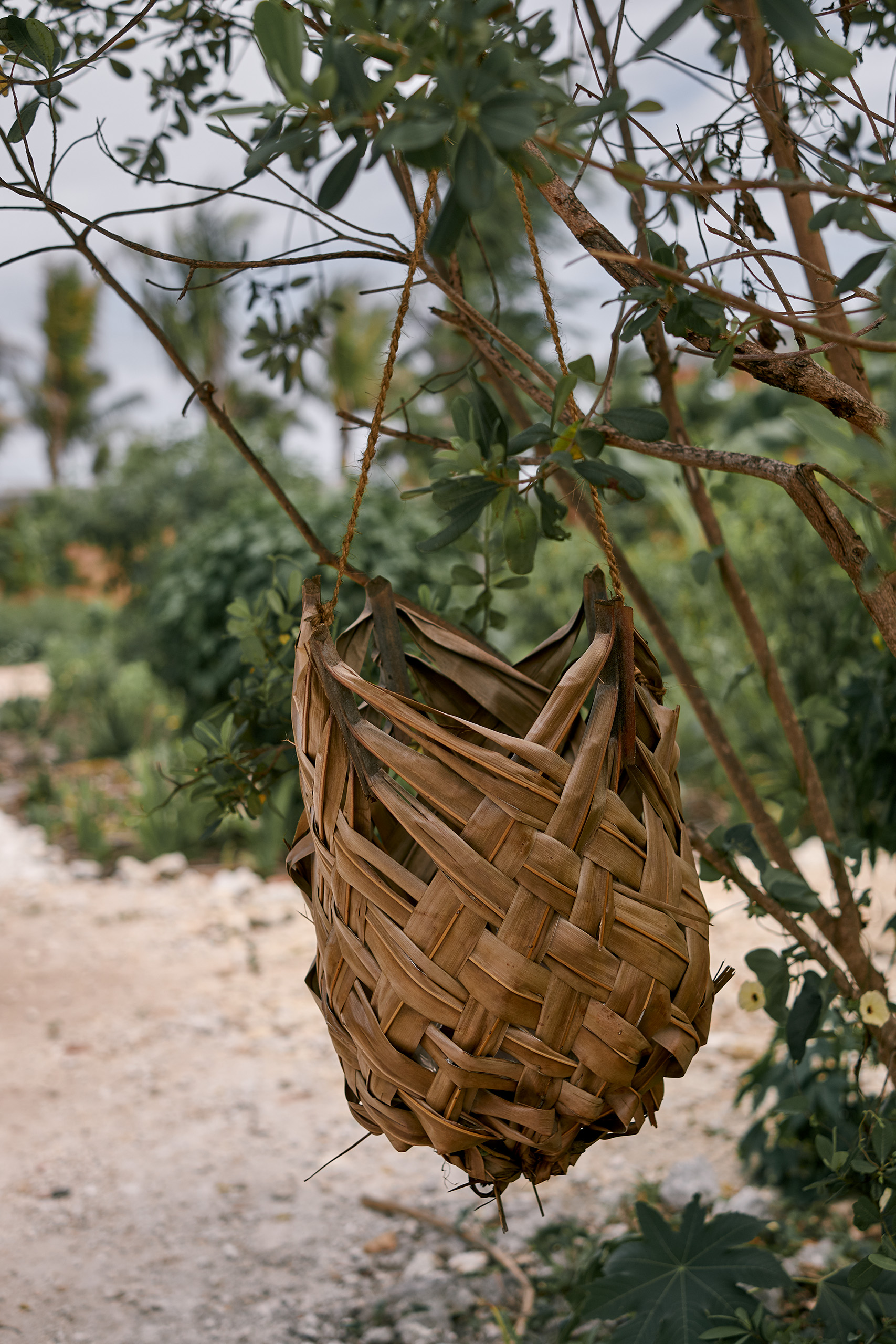 Kizikula, Kizimkazi, Zanzibar